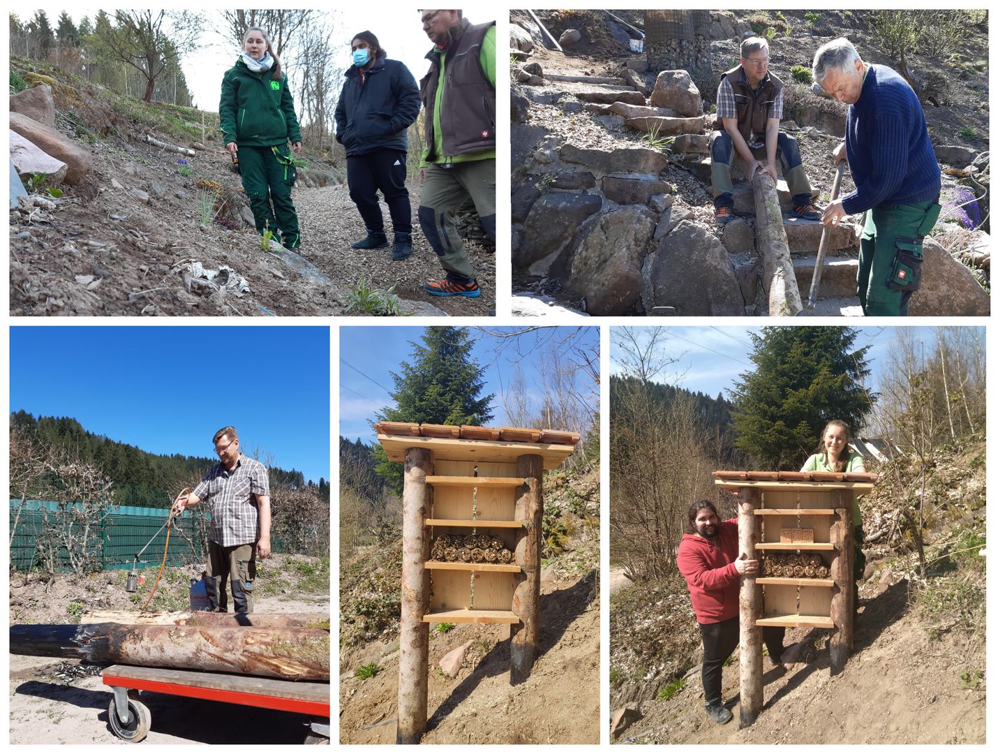 Im alternativen Wolf- und Bärenpark Nordschwarzwald haben wir einen Unterstand für Wildbienen gebaut. 